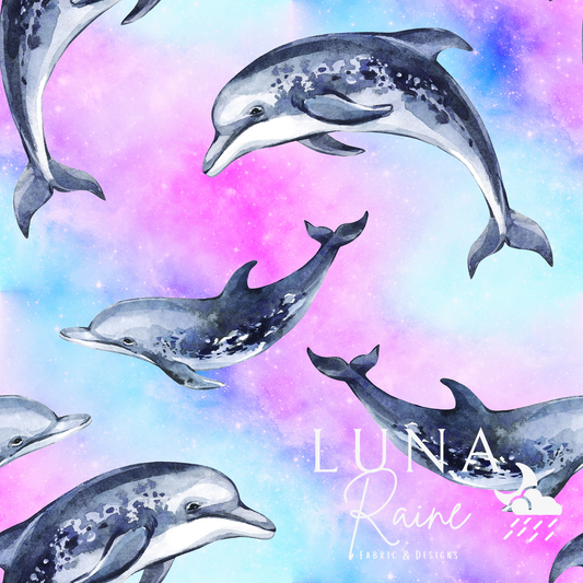 Dolphin Galaxy
